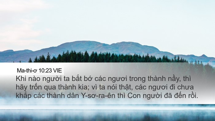 Ma-thi-ơ 10:23 VIE Bible Verse Image