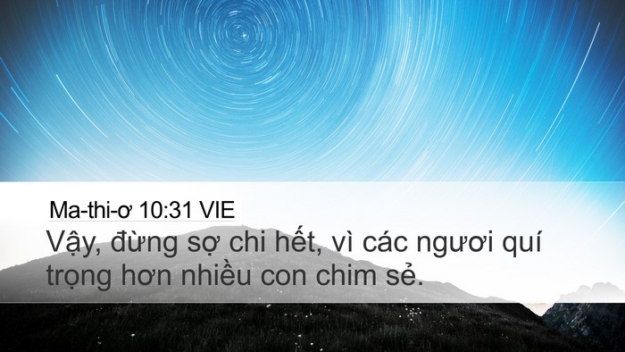 Ma-thi-ơ 10:31 VIE Bible Verse Image