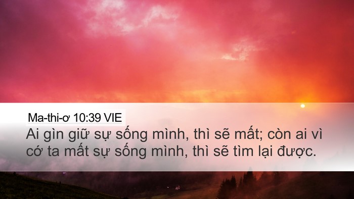 Ma-thi-ơ 10:39 VIE Bible Verse Image