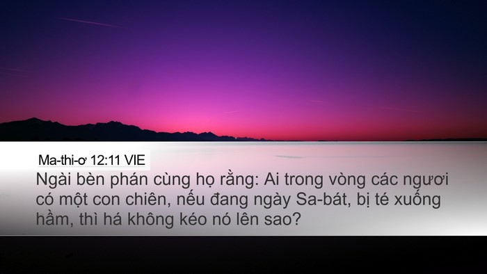 Ma-thi-ơ 12:11 VIE Bible Verse Image