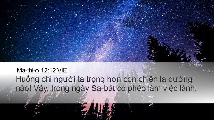 Ma-thi-ơ 12:12 VIE Bible Verse Image