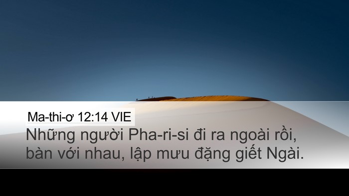 Ma-thi-ơ 12:14 VIE Bible Verse Image