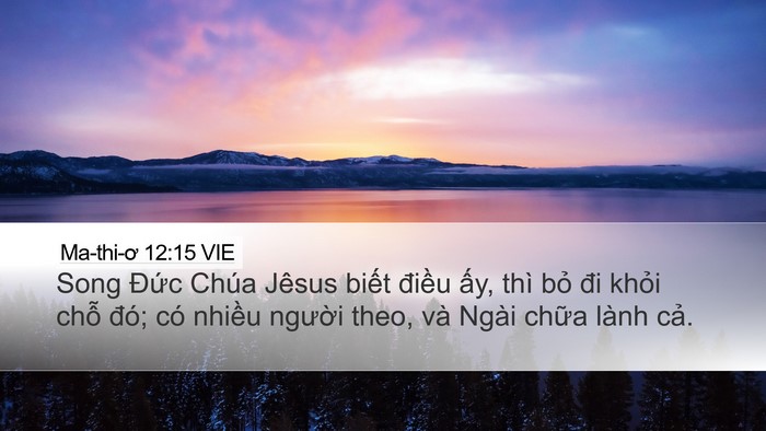 Ma-thi-ơ 12:15 VIE Bible Verse Image