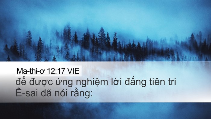 Ma-thi-ơ 12:17 VIE Bible Verse Image