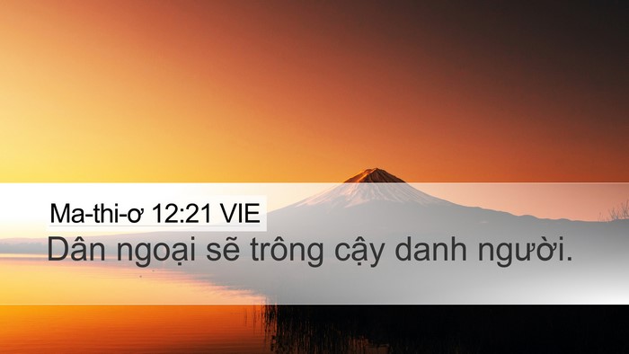 Ma-thi-ơ 12:21 VIE Bible Verse Image