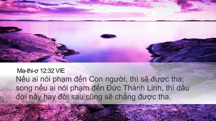 Ma-thi-ơ 12:32 VIE Desktop Wallpaper - Nếu ai nói phạm đến Con người, thì - Desktop Bible Verse Wallpaper