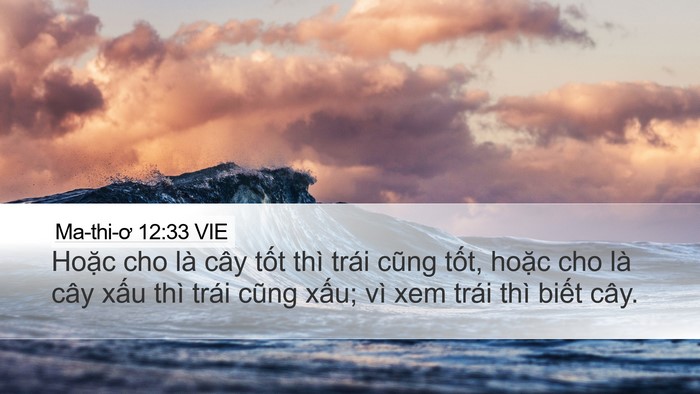 Ma-thi-ơ 12:33 VIE Bible Verse Image