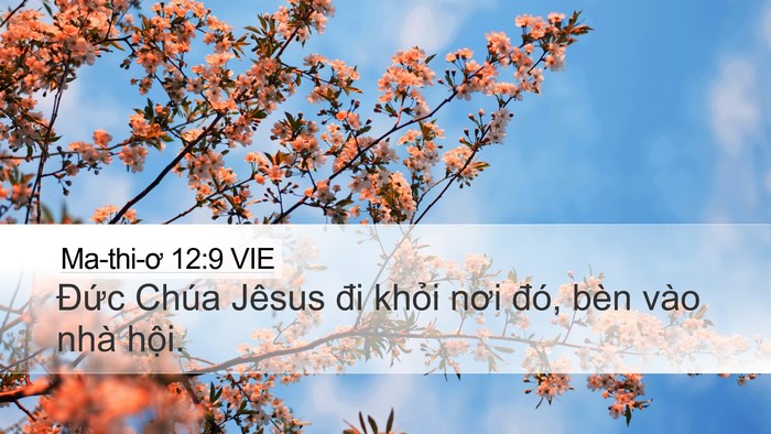 Ma-thi-ơ 12:9 VIE Desktop Wallpaper - Đức Chúa Jêsus đi khỏi nơi đó, bèn - Desktop Bible Verse Wallpaper