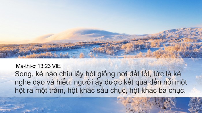 Ma-thi-ơ 13:23 VIE Bible Verse Image