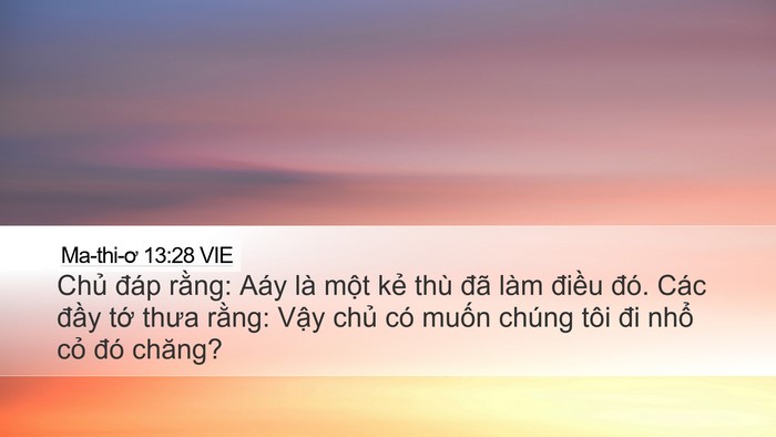 Ma-thi-ơ 13:28 VIE Desktop Wallpaper - Chủ đáp rằng: Aáy là một kẻ thù đã - Desktop Bible Verse Wallpaper