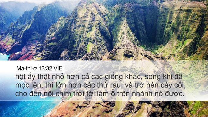 Ma-thi-ơ 13:32 VIE Desktop Wallpaper - hột ấy thật nhỏ hơn cả các giống - Desktop Bible Verse Wallpaper