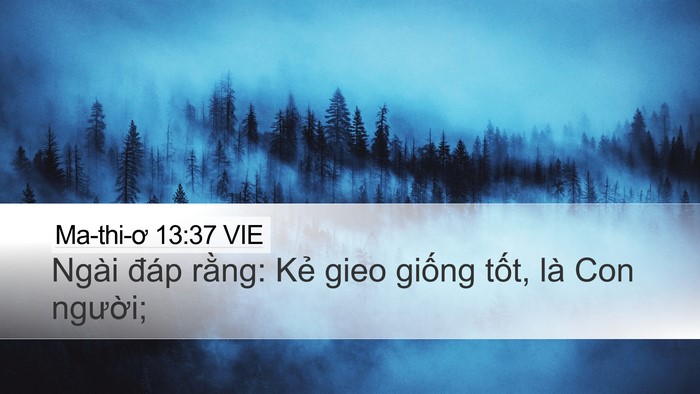 Ma-thi-ơ 13:37 VIE Bible Verse Image