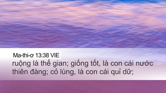 Ma-thi-ơ 13:38 VIE Bible Verse Image