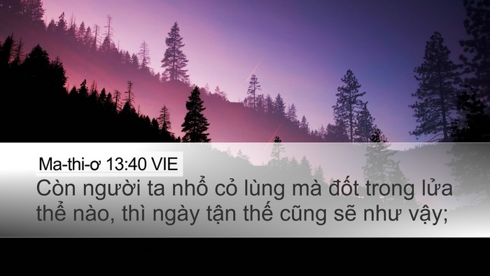 Ma-thi-ơ 13:40 VIE Bible Verse Image