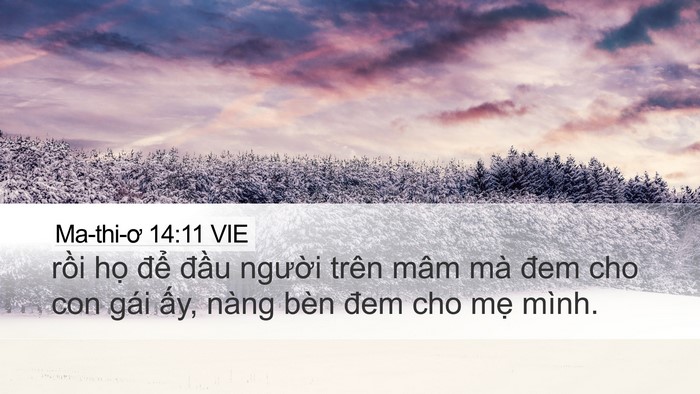 Ma-thi-ơ 14:11 VIE Bible Verse Image