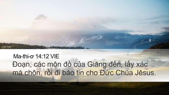 Ma-thi-ơ 14:12 VIE Desktop Wallpaper - Đoạn, các môn đồ của Giăng đến, - Desktop Bible Verse Wallpaper