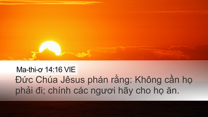 Ma-thi-ơ 14:16 VIE Bible Verse Image