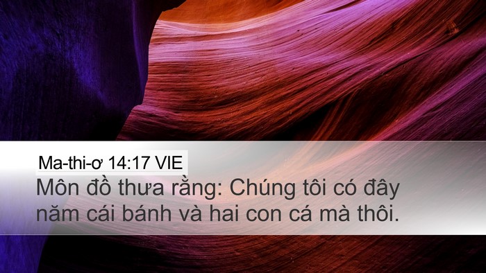 Ma-thi-ơ 14:17 VIE Bible Verse Image