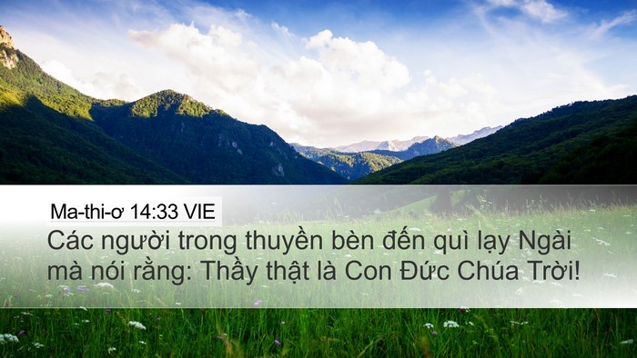 Ma-thi-ơ 14:33 VIE Bible Verse Image