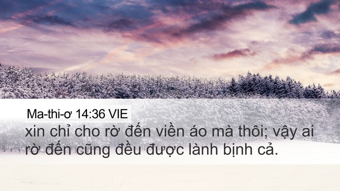 Ma-thi-ơ 14:36 VIE Bible Verse Image