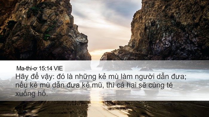 Ma-thi-ơ 15:14 VIE Bible Verse Image