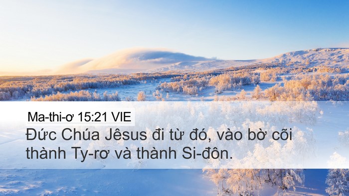 Ma-thi-ơ 15:21 VIE Bible Verse Image