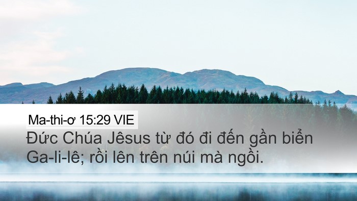 Ma-thi-ơ 15:29 VIE Bible Verse Image