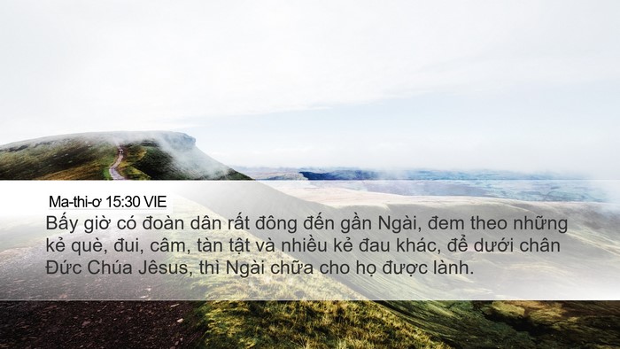 Ma-thi-ơ 15:30 VIE Bible Verse Image