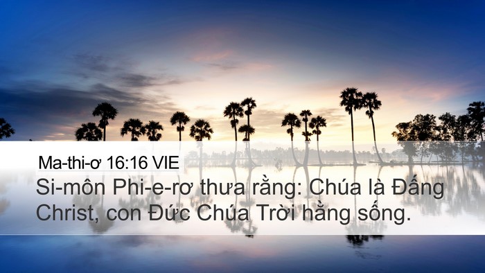 Ma-thi-ơ 16:16 VIE Desktop Wallpaper - Si-môn Phi-e-rơ thưa rằng: Chúa là Đấng - Desktop Bible Verse Wallpaper