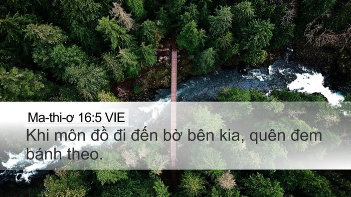 Ma-thi-ơ 16:5 VIE Desktop Wallpaper - Khi môn đồ đi đến bờ bên kia, quên - Desktop Bible Verse Wallpaper