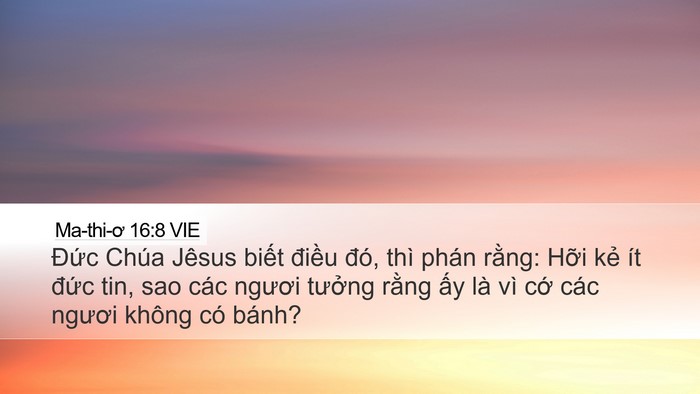 Ma-thi-ơ 16:8 VIE Bible Verse Image