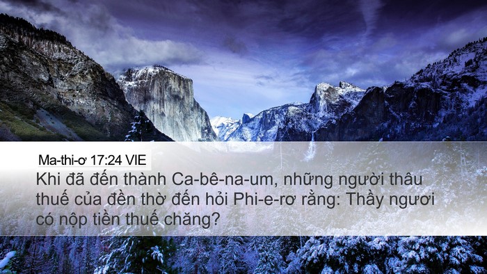 Ma-thi-ơ 17:24 VIE Bible Verse Image