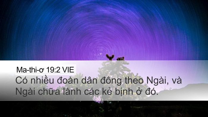 Ma-thi-ơ 19:2 VIE Bible Verse Image