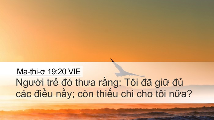 Ma-thi-ơ 19:20 VIE Bible Verse Image