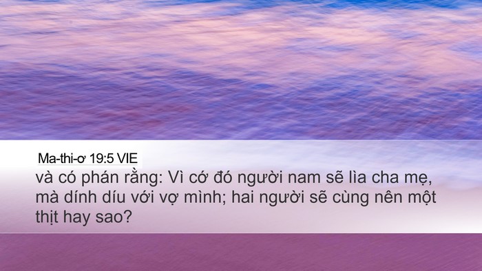 Ma-thi-ơ 19:5 VIE Desktop Wallpaper - và có phán rằng: Vì cớ đó người nam - Desktop Bible Verse Wallpaper