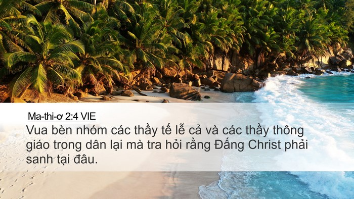 Ma-thi-ơ 2:4 VIE Desktop Wallpaper - Vua bèn nhóm các thầy tế lễ cả và - Desktop Bible Verse Wallpaper