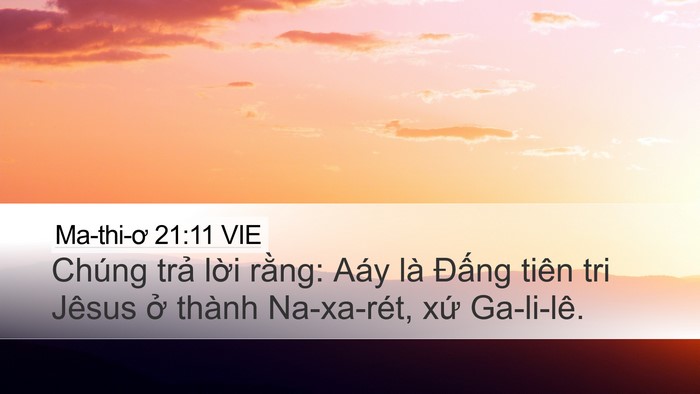 Ma-thi-ơ 21:11 VIE Bible Verse Image