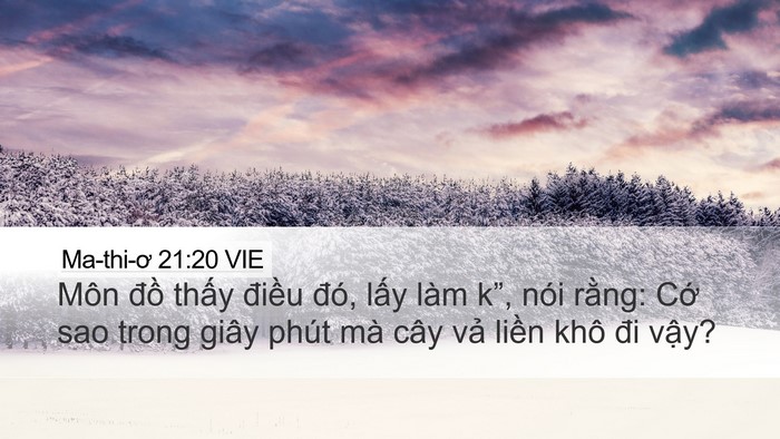 Ma-thi-ơ 21:20 VIE Desktop Wallpaper - Môn đồ thấy điều đó, lấy làm k”, - Desktop Bible Verse Wallpaper
