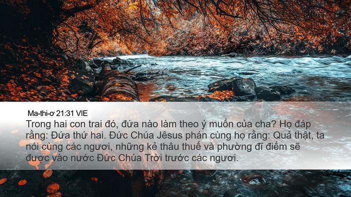 Ma-thi-ơ 21:31 VIE Bible Verse Image