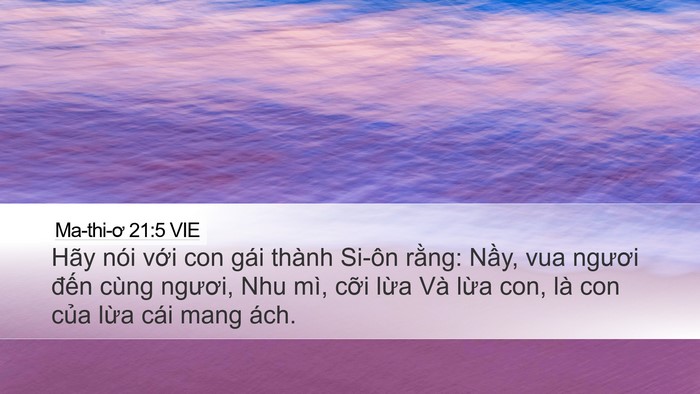 Ma-thi-ơ 21:5 VIE Desktop Wallpaper - Hãy nói với con gái thành Si-ôn rằng: - Desktop Bible Verse Wallpaper
