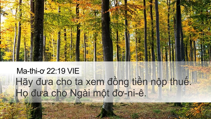Ma-thi-ơ 22:19 VIE Bible Verse Image