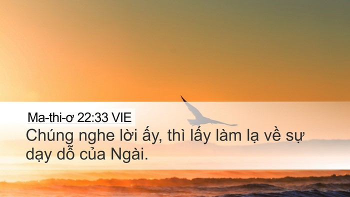 Ma-thi-ơ 22:33 VIE Bible Verse Image
