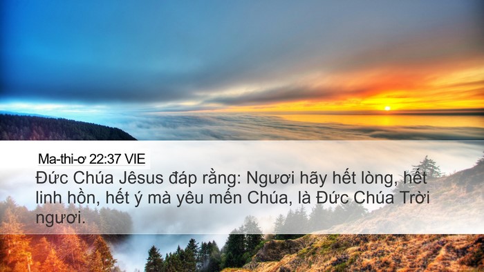 Ma-thi-ơ 22:37 VIE Bible Verse Image