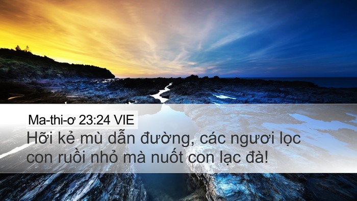 Ma-thi-ơ 23:24 VIE Bible Verse Image