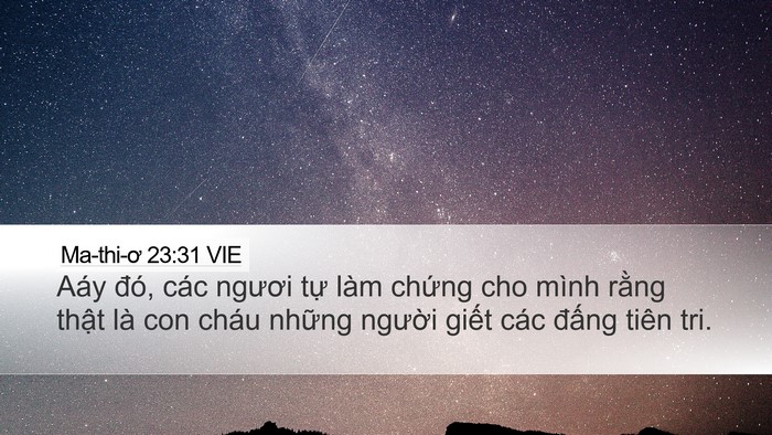 Ma-thi-ơ 23:31 VIE Bible Verse Image