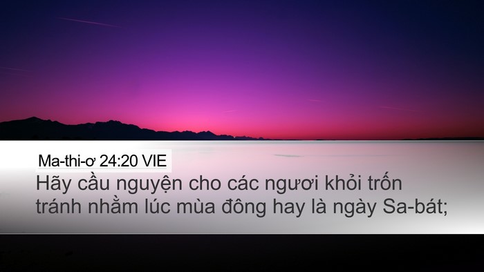 Ma-thi-ơ 24:20 VIE Desktop Wallpaper - Hãy cầu nguyện cho các ngươi khỏi - Desktop Bible Verse Wallpaper