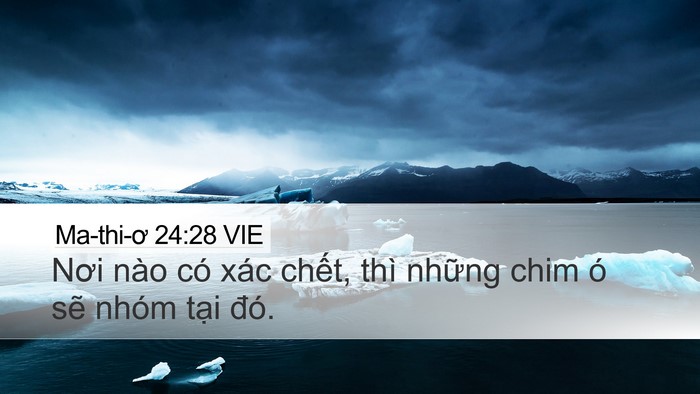 Ma-thi-ơ 24:28 VIE Bible Verse Image