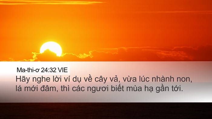 Ma-thi-ơ 24:32 VIE Bible Verse Image
