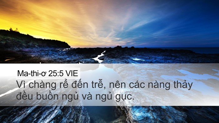 Ma-thi-ơ 25:5 VIE Bible Verse Image