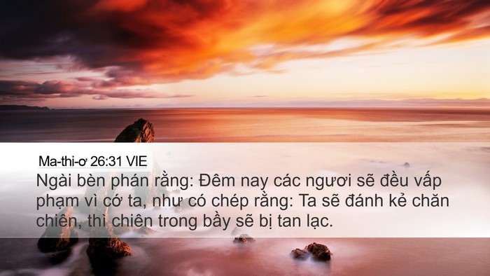 Ma-thi-ơ 26:31 VIE Bible Verse Image